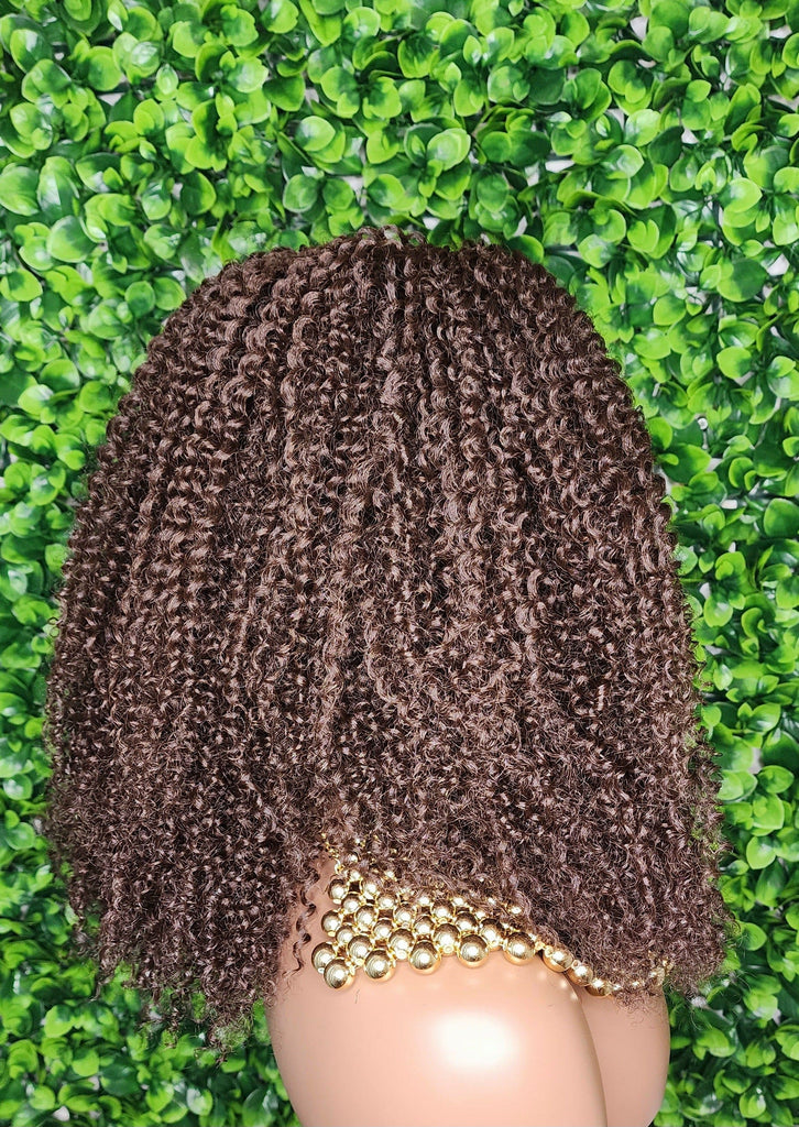 Big Kinky Curly Lace Front Wig Coily Hair Bouncy Spiral Curl Natural Afro Hairstyle Afro Kinky Glueless Lace Wig - Beauty Blessings LLC