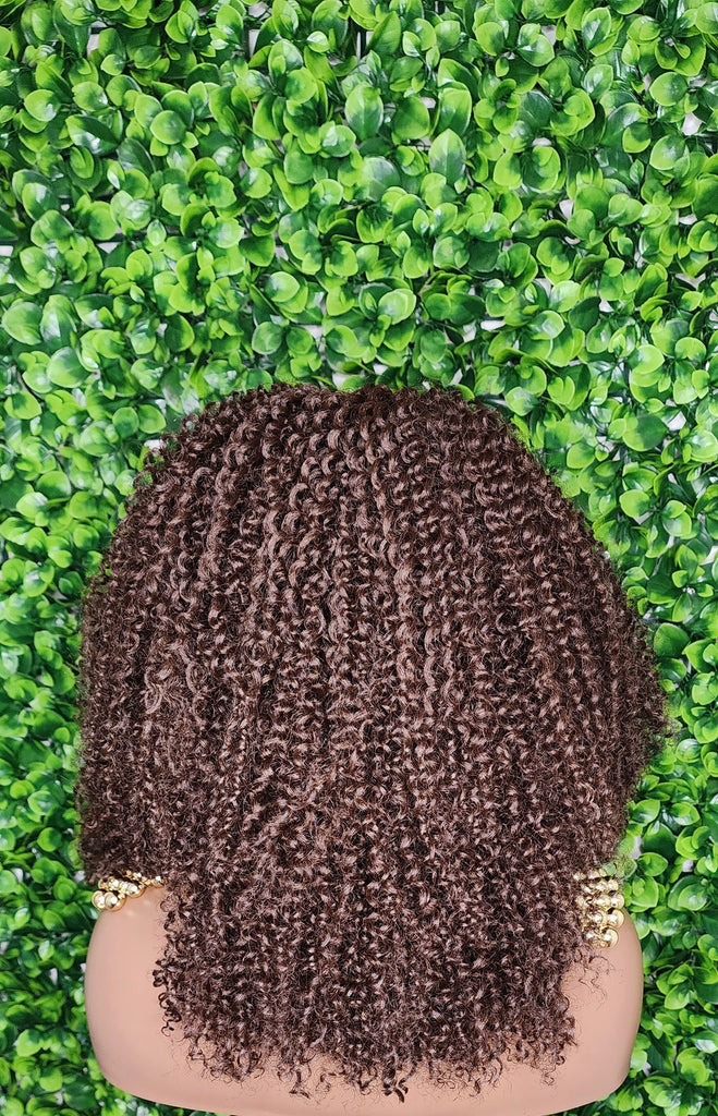 Big Kinky Curly Lace Front Wig Coily Hair Bouncy Spiral Curl Natural Afro Hairstyle Afro Kinky Glueless Lace Wig - Beauty Blessings LLC