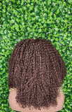 Big Kinky Curly Lace Front Wig Coily Hair Bouncy Spiral Curl Natural Afro Hairstyle Afro Kinky Glueless Lace Wig - Beauty Blessings LLC