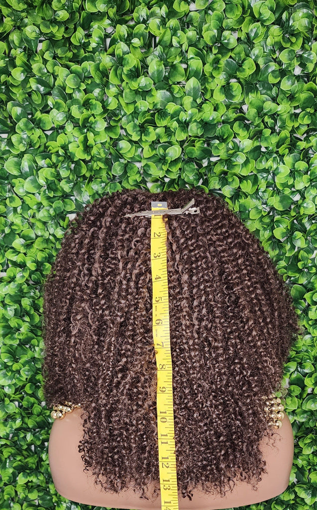 Big Kinky Curly Lace Front Wig Coily Hair Bouncy Spiral Curl Natural Afro Hairstyle Afro Kinky Glueless Lace Wig - Beauty Blessings LLC