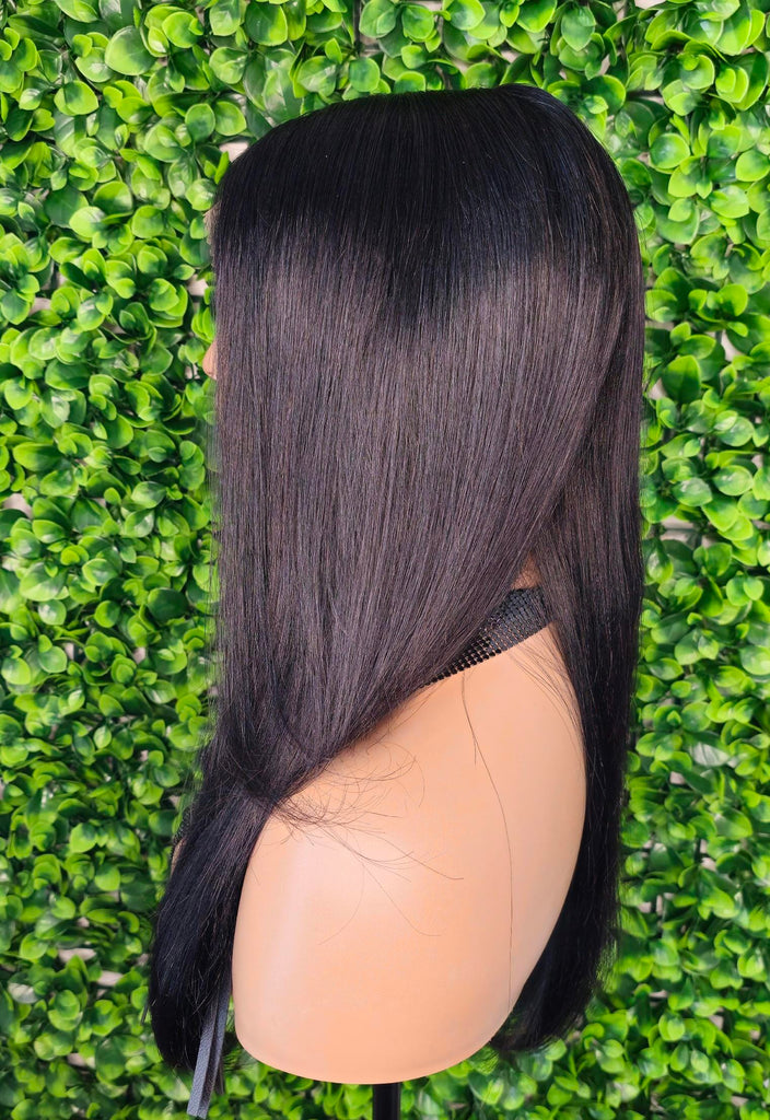 Straight 100% Human Hair Lace Front Wig Brazilian Remy HD Lace Glueless Pre Plucked Lace Frontal Natural Hairline Human Hair Wigs for Women - Beauty Blessings LLC