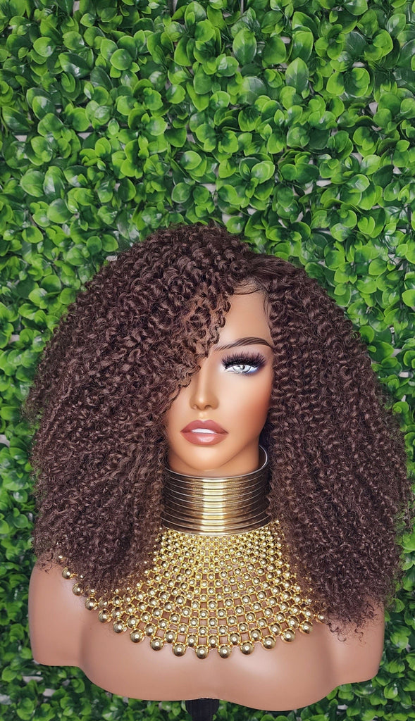 Big Kinky Curly Lace Front Wig Coily Hair Bouncy Spiral Curl Natural Afro Hairstyle Afro Kinky Glueless Lace Wig - Beauty Blessings LLC