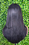 Straight 100% Human Hair Lace Front Wig Brazilian Remy HD Lace Glueless Pre Plucked Lace Frontal Natural Hairline Human Hair Wigs for Women - Beauty Blessings LLC