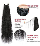 Fast Boho Braids Crochet Boho Box Braids with Human Hair Deep Curls, Pre-Looped Box Braids with Full Deep Curly Human Hair Ends, Hair Extensions Up to 30 Inches Crochet Braids 20 Strands - Beauty Blessings LLC