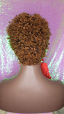 Auburn Hair Virgin Remy Short Afro Coil Kinky Curl Human Hair Wig Glueless Hair Full Natural Wig - Beauty Blessing Wigs & Hair Extensions Boutique