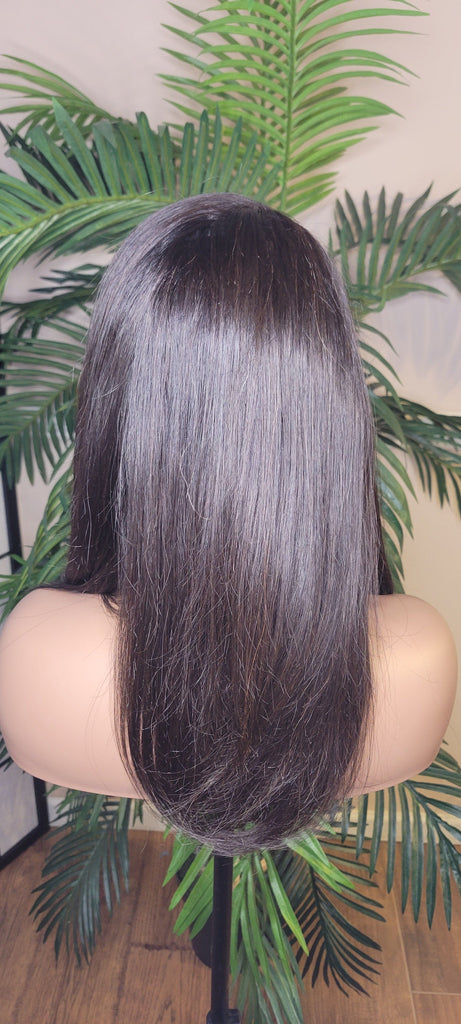 Straight Wig Human Hair Brazilian Remy Lace Front Glueless Wig Straight Layered Hair Wig - Beauty Blessing Wigs & Hair Extensions Boutique
