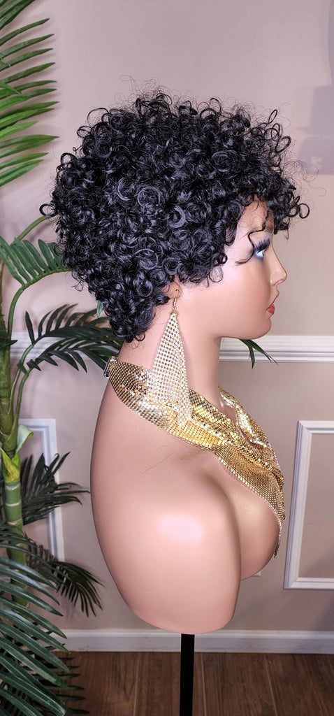 Black Curly Hair Brazilian Remy 100% Human Hair Pixie Cut Curl Hair Wig Soft Cut Curly Water Wave Hair Protective Hairstyle Wig - Beauty Blessings LLC