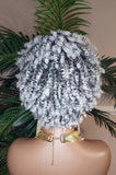 White Gray Hair Wig Coil Kinky Twist Spiral Curl Pixie Short Afro Natural Hairstyle Wig Ombre Black Gray Salt Pepper Human Hair Blend Wig  - Beauty Blessings LLC