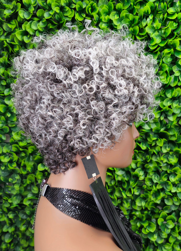  Beautiful salt and pepper gray color blend