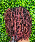 Braided hair with red and black tones on a green leafy background