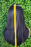 Straight 100% Human Hair Lace Front Wig Brazilian Remy HD Lace Glueless Pre Plucked Lace Frontal Natural Hairline Human Hair Wigs for Women