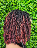 Braided hair with red and black color gradient against a green leafy background