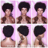 Mongolian Virgin Short Afro Coil Kinky Curl Human Hair Wig Glueless Hair Full Natural Wig - Beauty Blessing Wigs & Hair Extensions Boutique