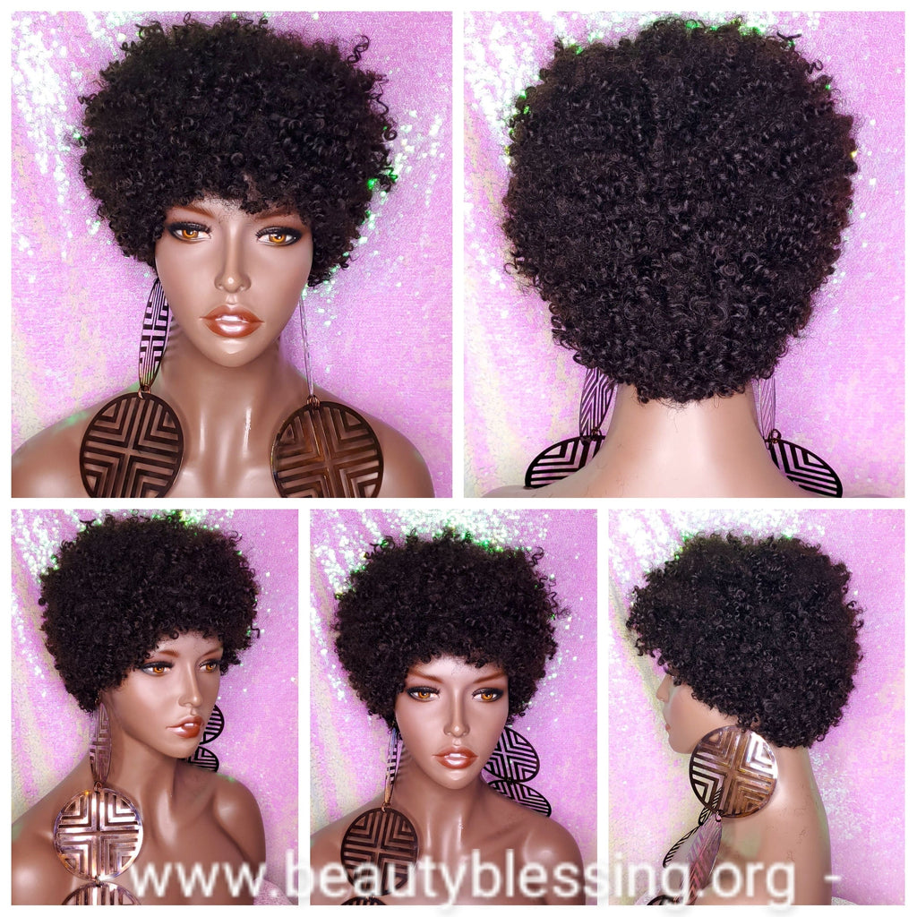 Mongolian Virgin Short Afro Coil Kinky Curl Human Hair Wig Glueless Hair Full Natural Wig - Beauty Blessing Wigs & Hair Extensions Boutique