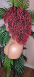 Burgundy Hair Afro Coil Bantu Knot Twist Out Kinky Twist Hair Full Cap Natural Wig Natural Hairstyle Wig Afro Twist Hair Wig - Beauty Blessings LLC
